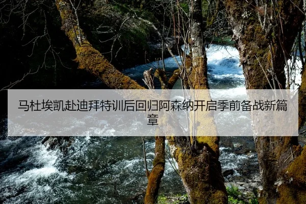 马杜埃凯赴迪拜特训后回归阿森纳开启季前备战新篇章